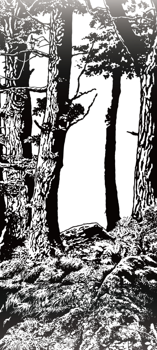 木曜森林 沐浴膠