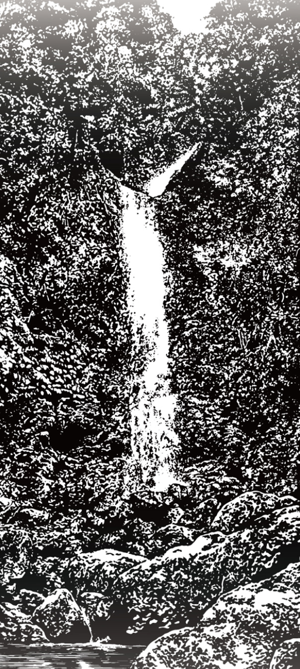 雪松麝香 沐浴膠